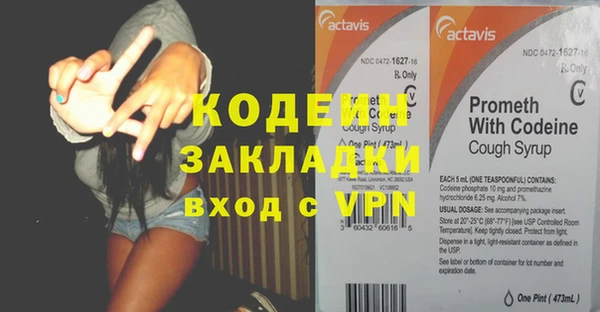 хмурый Абаза
