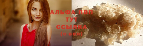 хмурый Абаза