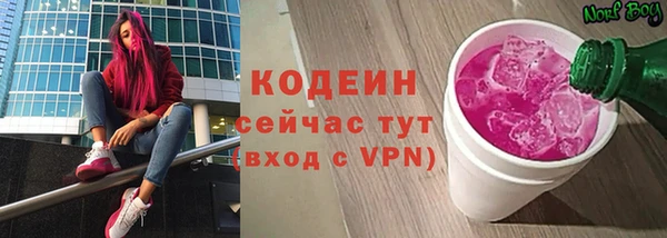 хмурый Абаза